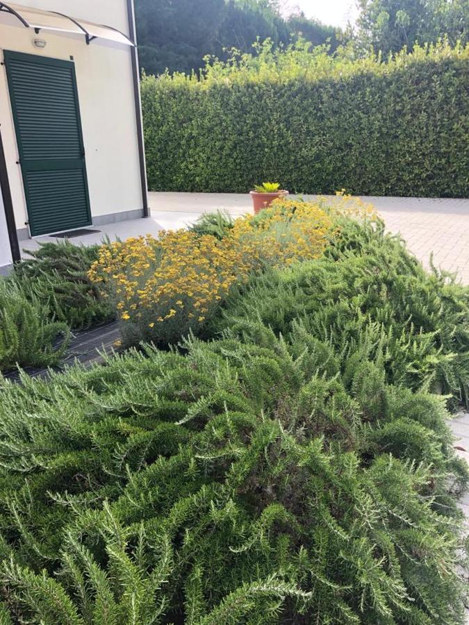 Aparthotel RTA La Pineta Sarzana Exterior foto